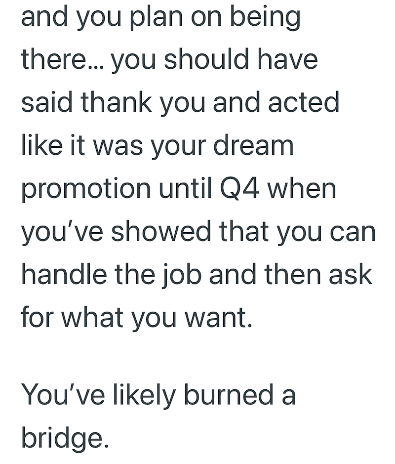 and you plan on being there... you should have said thank you and acted like it was your dream promotion until Q4 when you've showed that you can handle the job and then ask for what you want. You've likely burned a bridge.