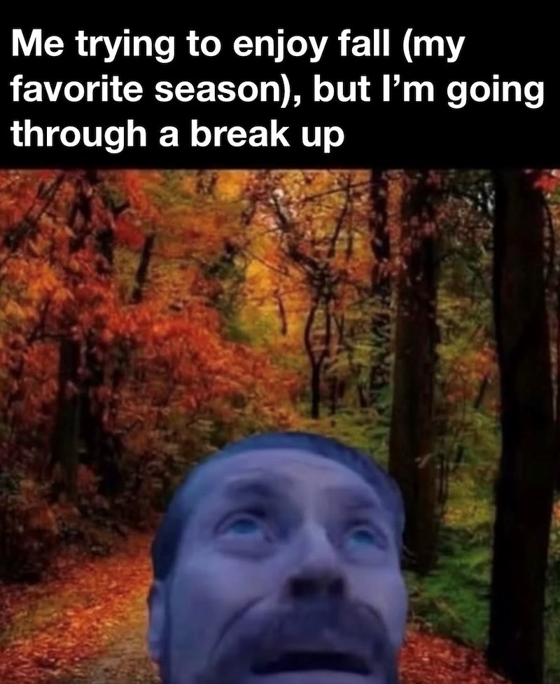 Me trying to enjoy fall (my favorite season), but I'm going a break up through