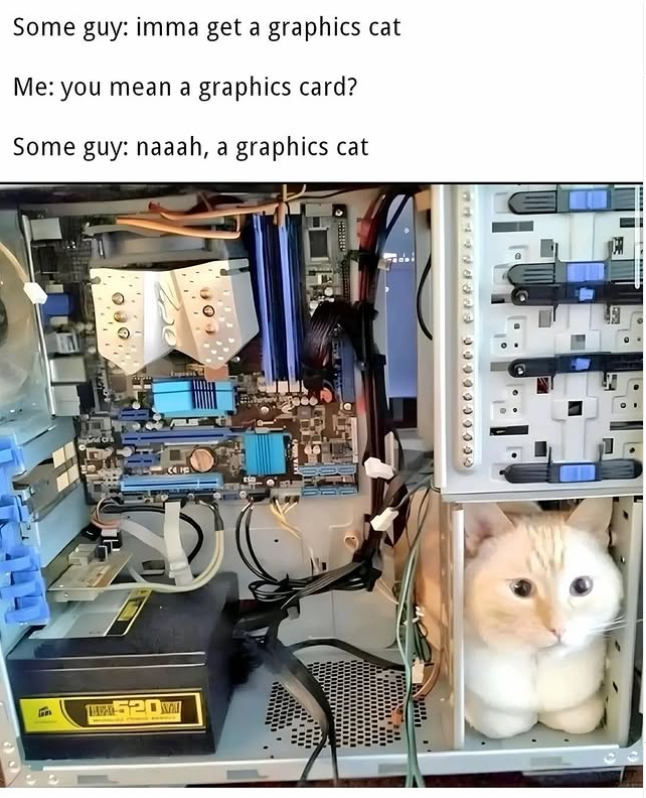 Some guy: imma get a graphics cat Me: you mean a graphics card? Some guy: naaah, a graphics cat 1dddds 9999900090 090