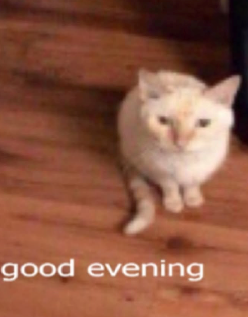 good evening