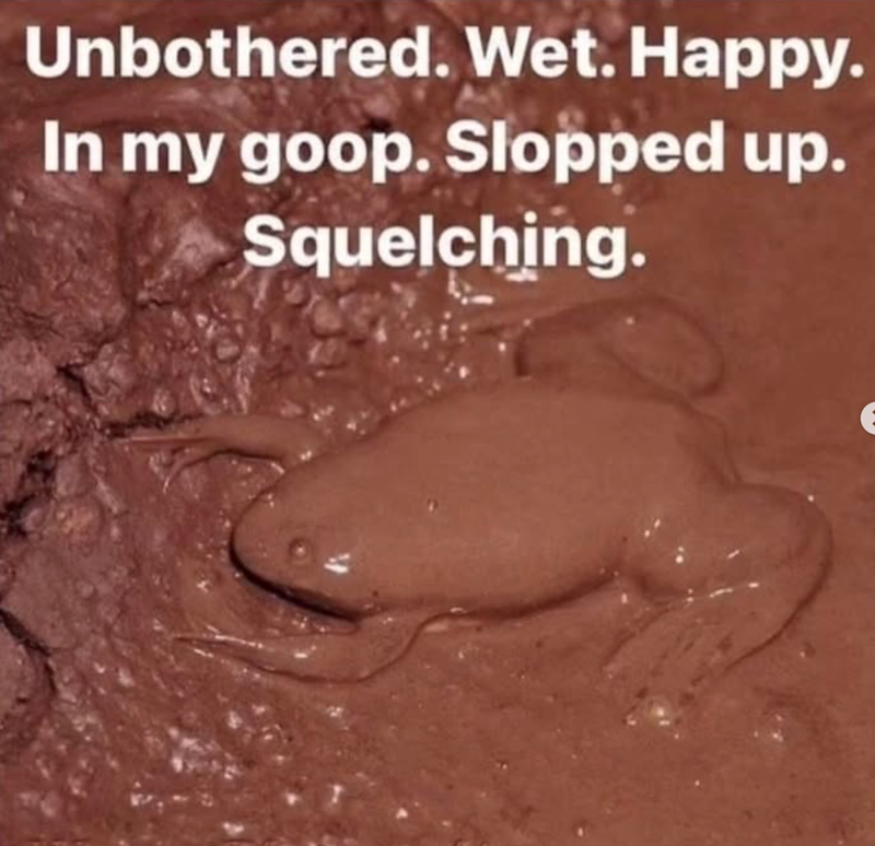 Unbothered. Wet. Happy. In my goop. Slopped up. Squelching.