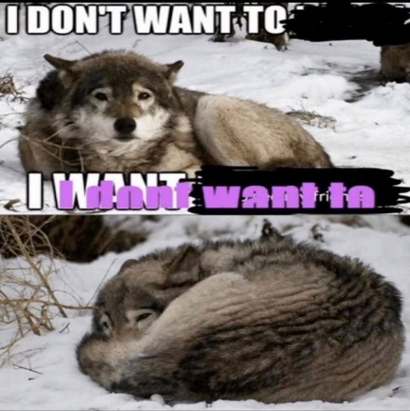 I DON'T WANT TO IWANT want to