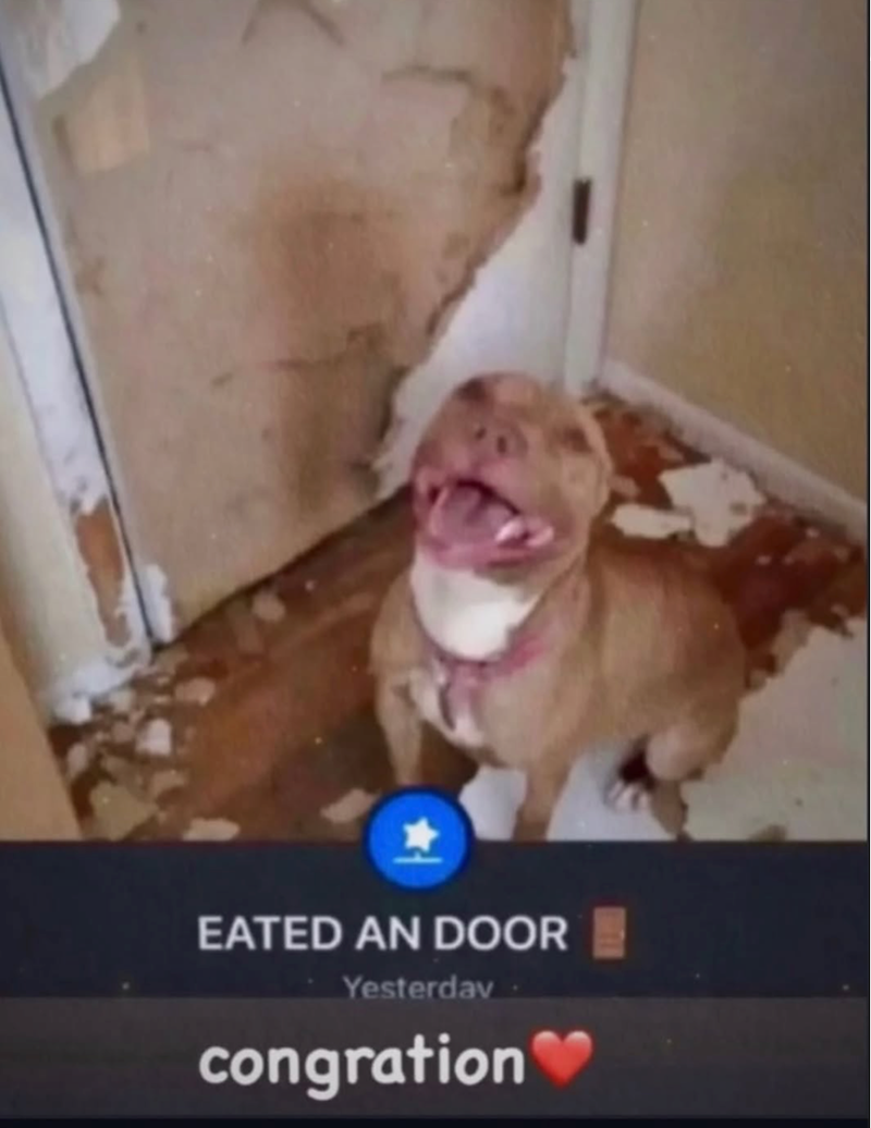 EATED AN DOOR Yesterday congration❤