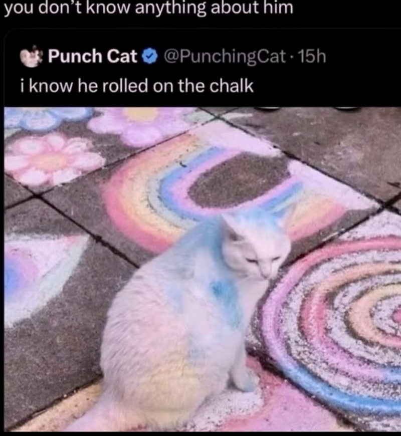 you don't know anything about him Punch Cat @PunchingCat-15h i know he rolled on the chalk