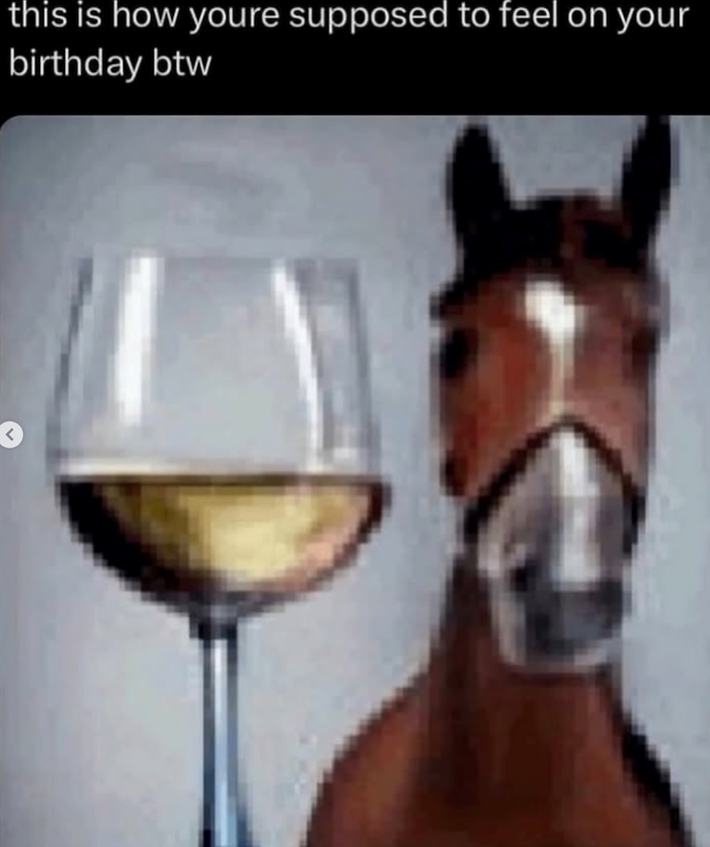 this is how youre supposed to feel on your birthday btw