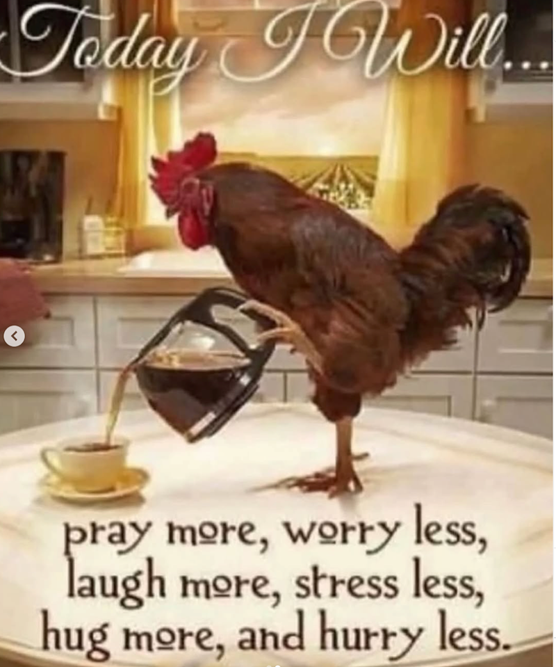 Today Will... pray more, worry less, laugh more, stress less, hug more, and hurry less.