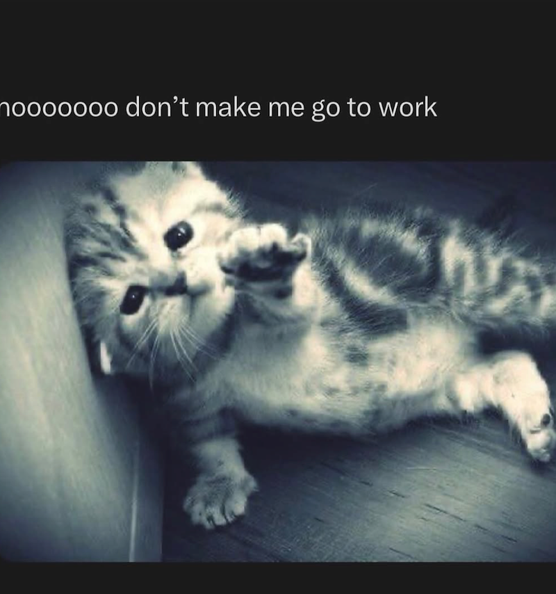 hooooooo don't make me go to work