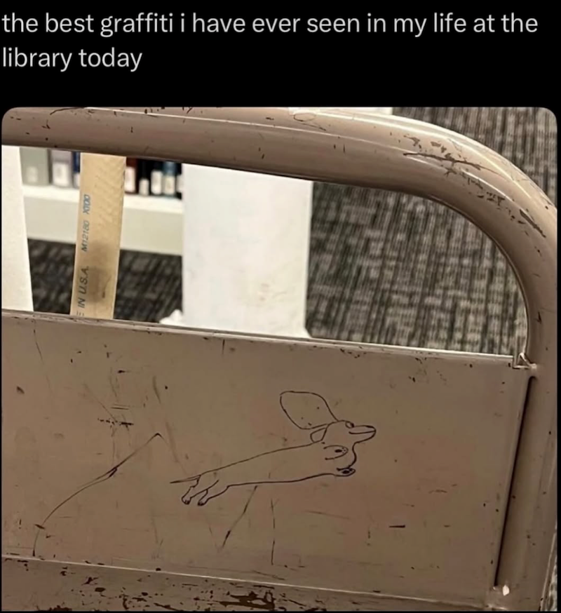 IN USA M12180 X000 the best graffiti i have ever seen in my life at the library today