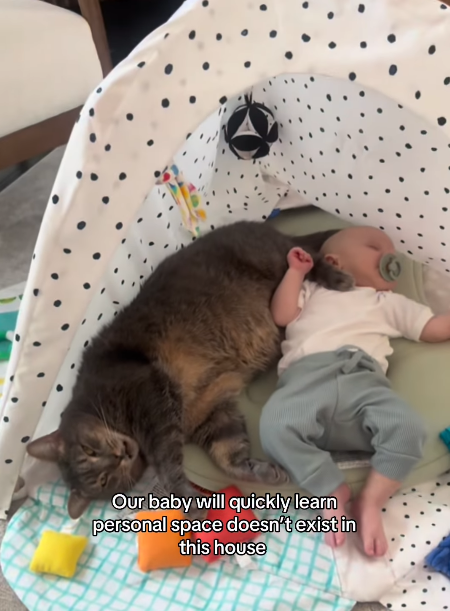 Our baby will quickly learn personal space doesn't exist in this house