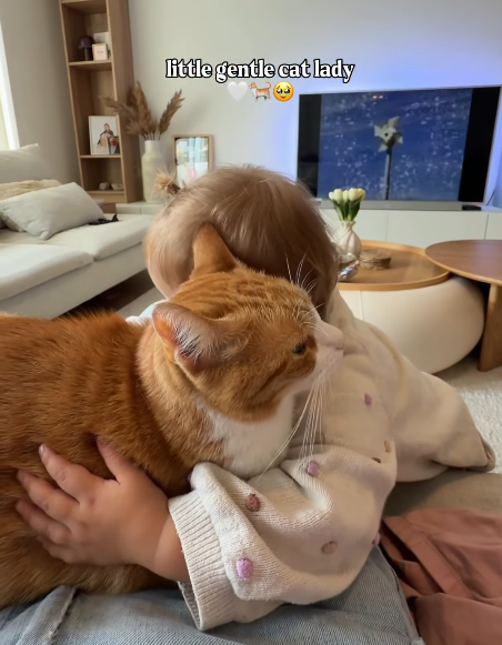 little gentle cat lady