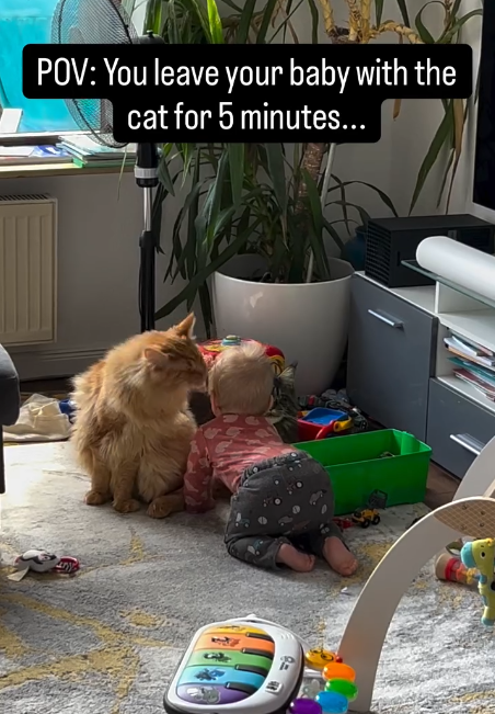POV: You leave your baby with the cat for 5 minutes... 9