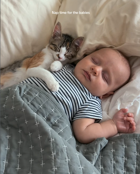 Nap time for the babies