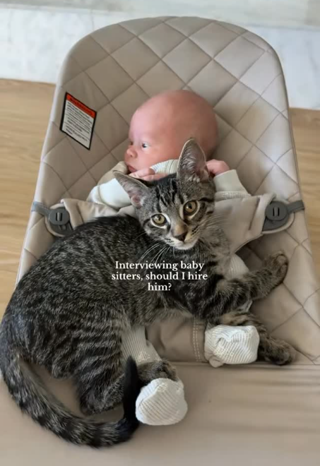Interviewing baby sitters, should I hire him?