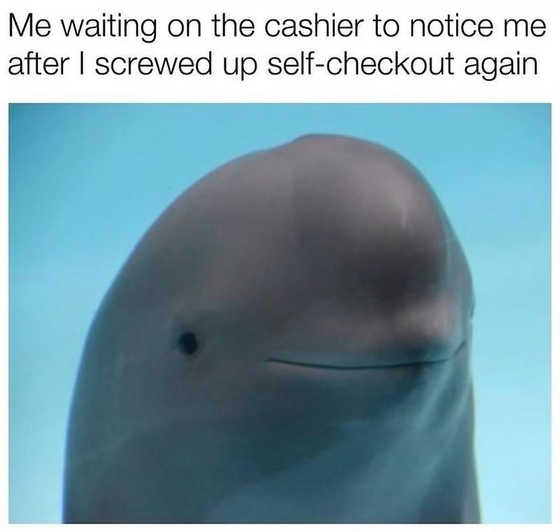 Me waiting on the cashier to notice me after I screwed up self-checkout again