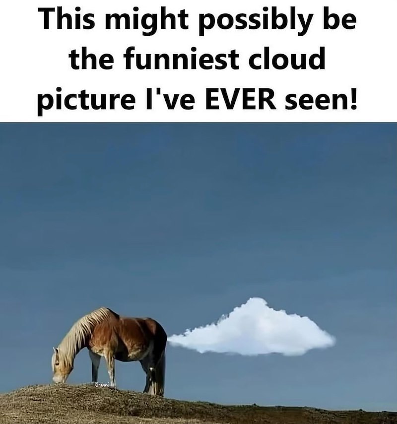 This might possibly be the funniest cloud picture I've EVER seen!