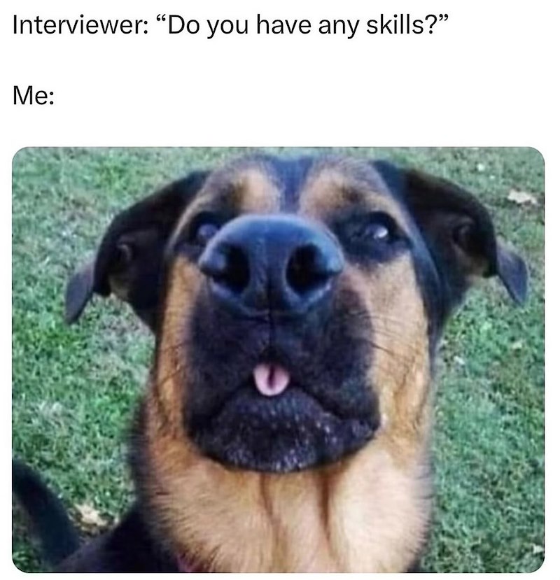 Interviewer: "Do you have any skills?" Me: