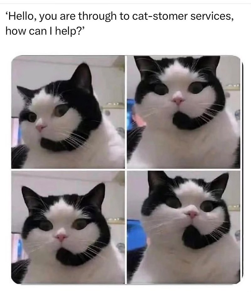 'Hello, you are through to cat-stomer services, how can I help?'