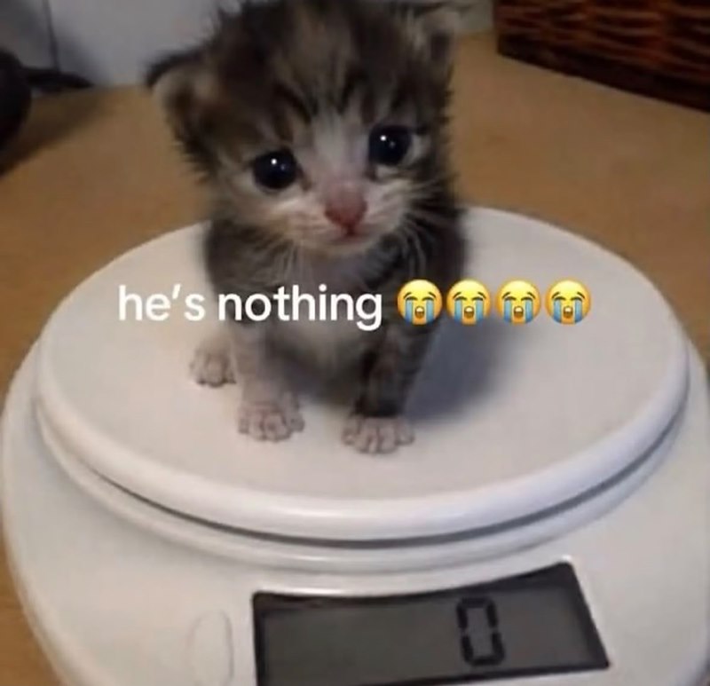 he's nothing