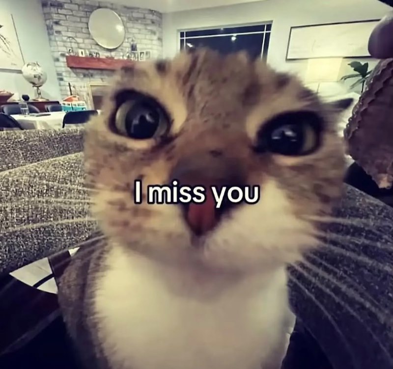 I miss you