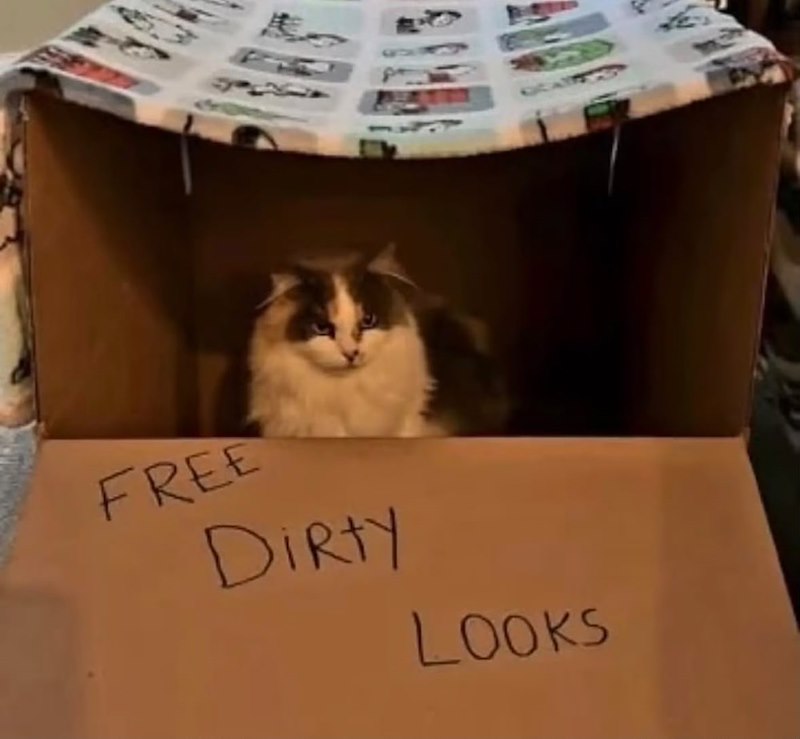 FREE Dirty LOOKS