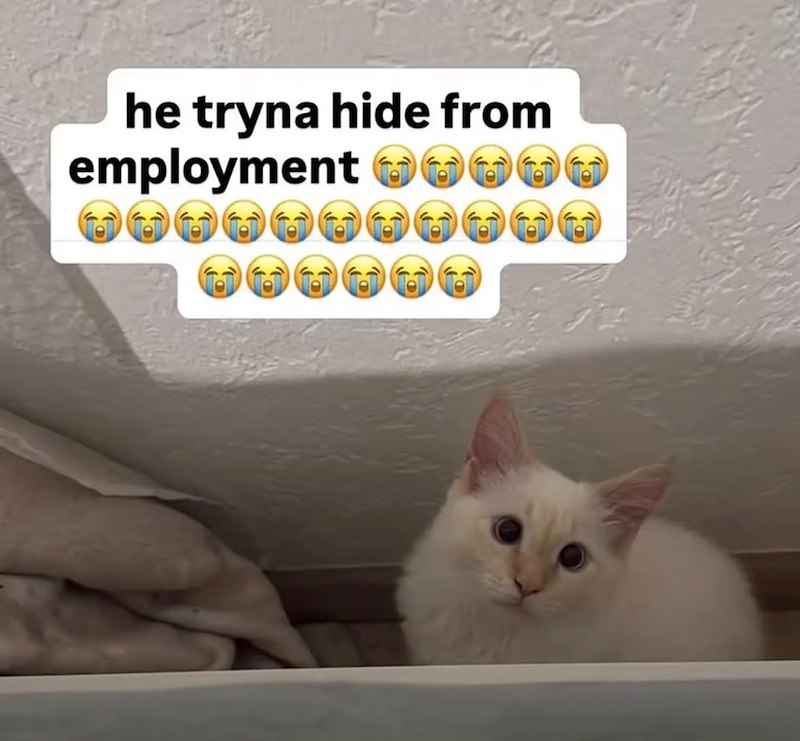 he tryna hide from employment