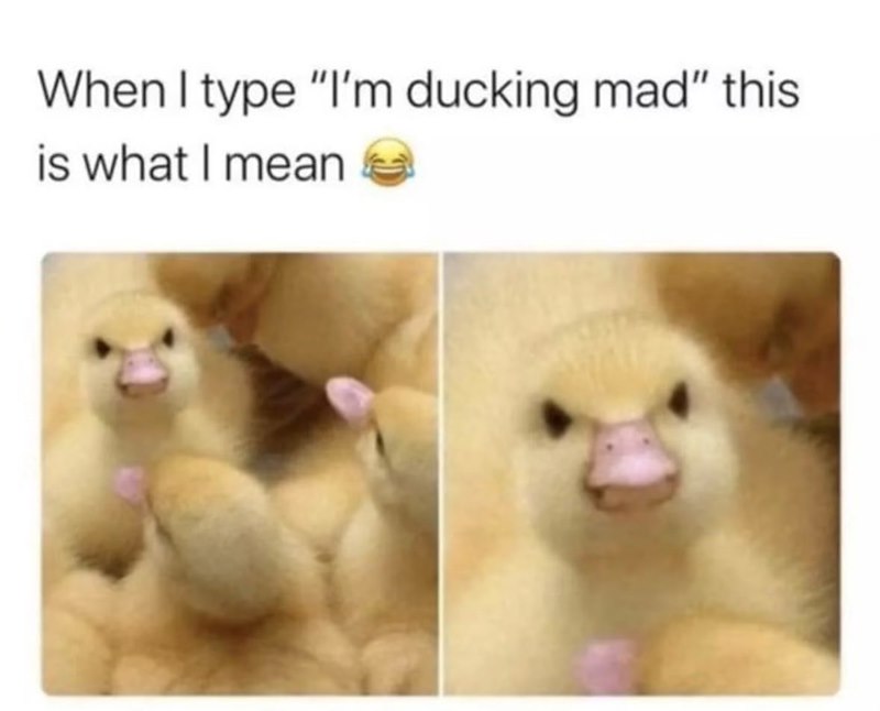 When I type "I'm ducking mad" this is what I mean