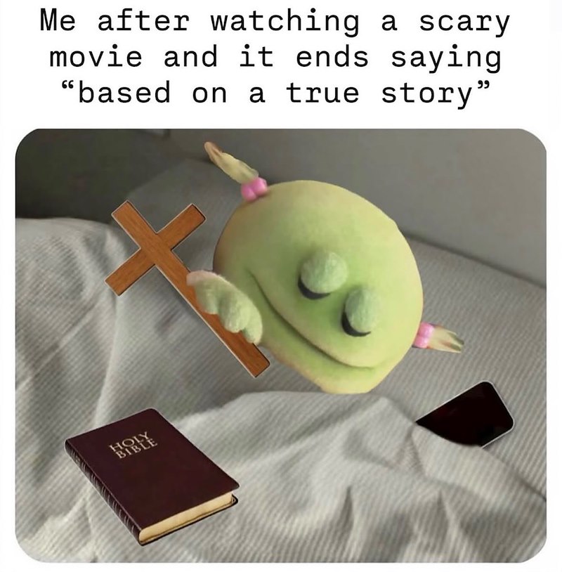 Me after watching a scary movie and it ends saying "based on a true story" HOLY BIE