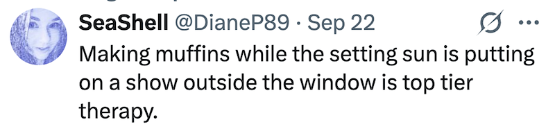 SeaShell @DianeP89 Sep 22 Making muffins while the setting sun is putting on a show outside the window is top tier therapy.