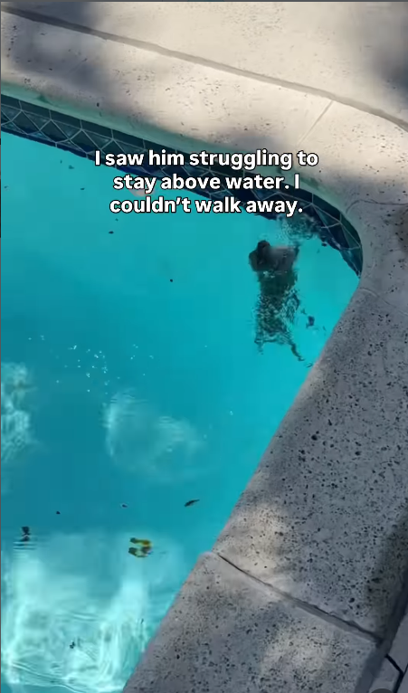I saw him struggling to stay above water. I couldn't walk away.
