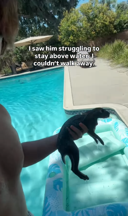 I saw him struggling to stay above water. I couldn't walk away.