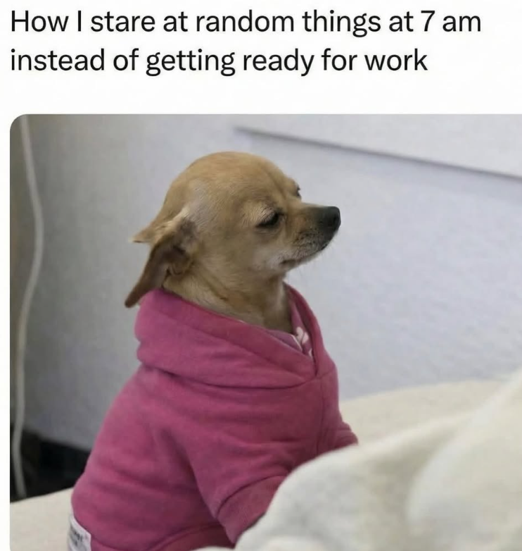 How I stare at random things at 7 am instead of getting ready for work
