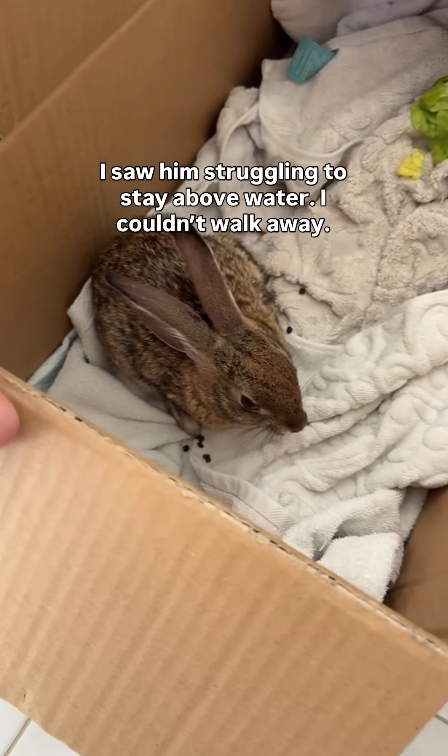 I saw him struggling to stay above water. I couldn't walk away.