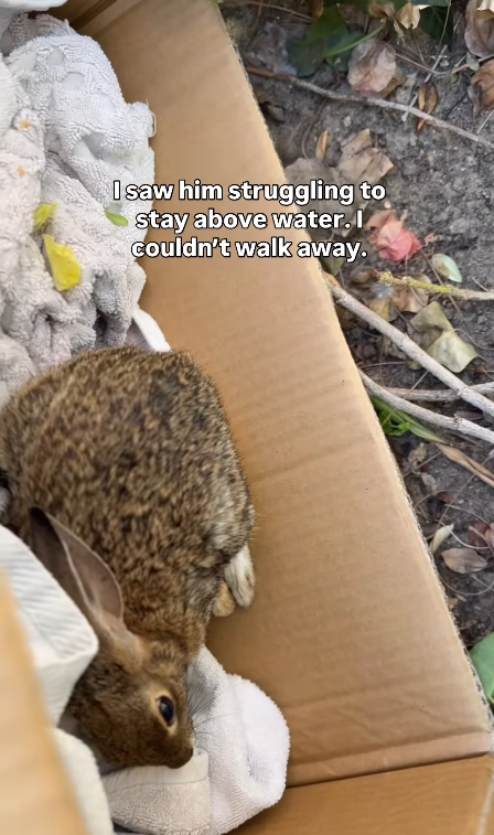 I saw him struggling to stay above water. I couldn't walk away.