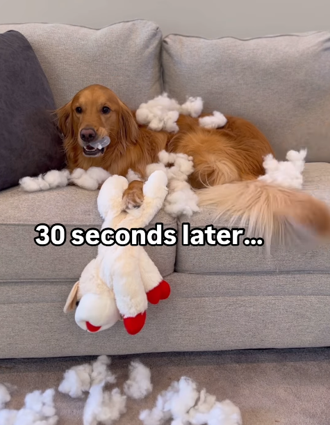 30 seconds later...
