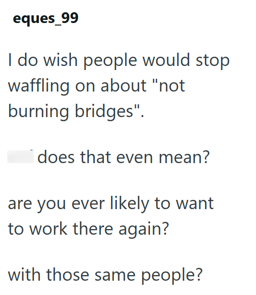 eques_99 I do wish people would stop waffling on about "not burning bridges". I does that even mean? are you ever likely to want to work there again? with those same people?