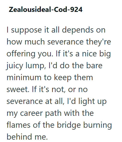 Zealousideal-Cod-924 I suppose it all depends on how much severance they're offering you. If it's a nice big juicy lump, I'd do the bare minimum to keep them sweet. If it's not, or no severance at all, I'd light up my career path with the flames of the bridge burning behind me.