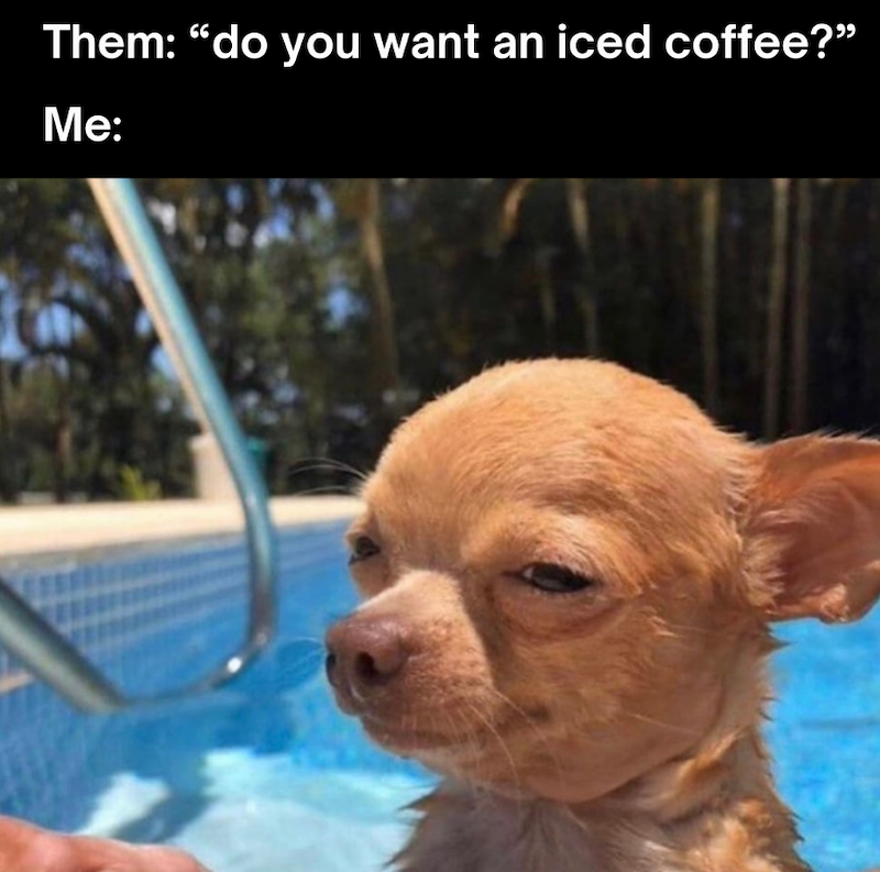 Them: "do you want an iced coffee?” Me: