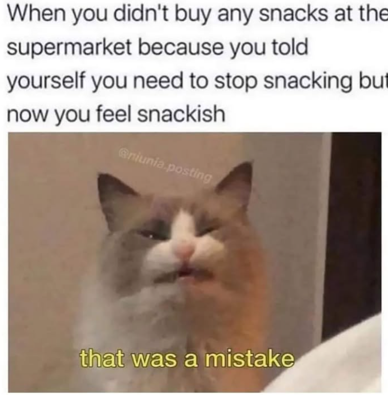 When you didn't buy any snacks at the supermarket because you told yourself you need to stop snacking but now you feel snackish @niunia.posting that was a mistake