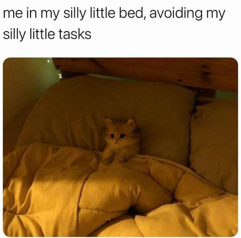 me in my silly little bed, avoiding my silly little tasks