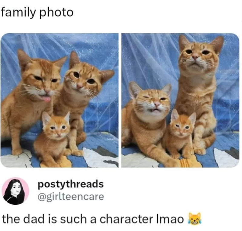 family photo postythreads @girlteencare the dad is such a character Imao