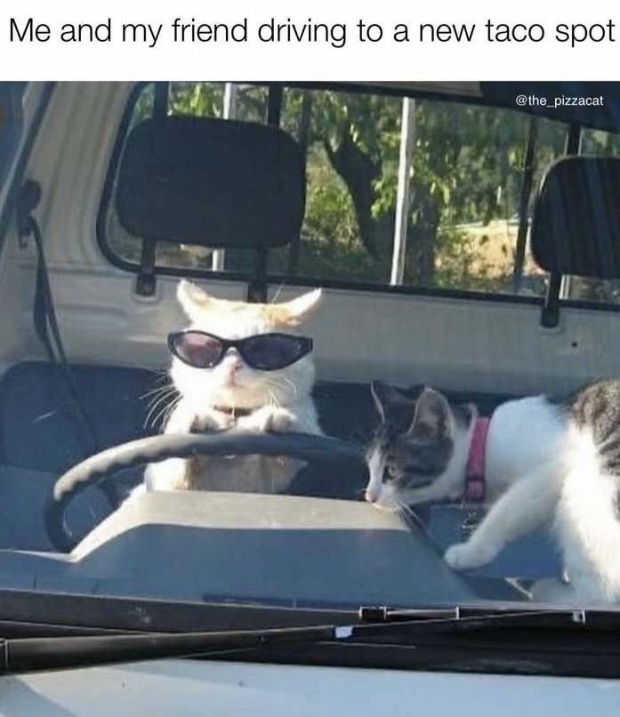 Me and my friend driving to a new taco spot @the_pizzacat