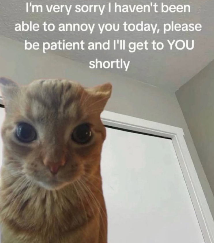 I'm very sorry I haven't been able to annoy you today, please be patient and I'll get to YOU shortly