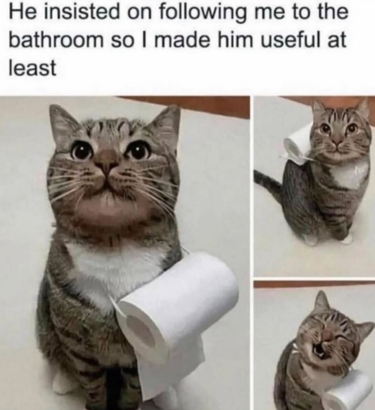 He insisted on following me to the bathroom so I made him useful at least