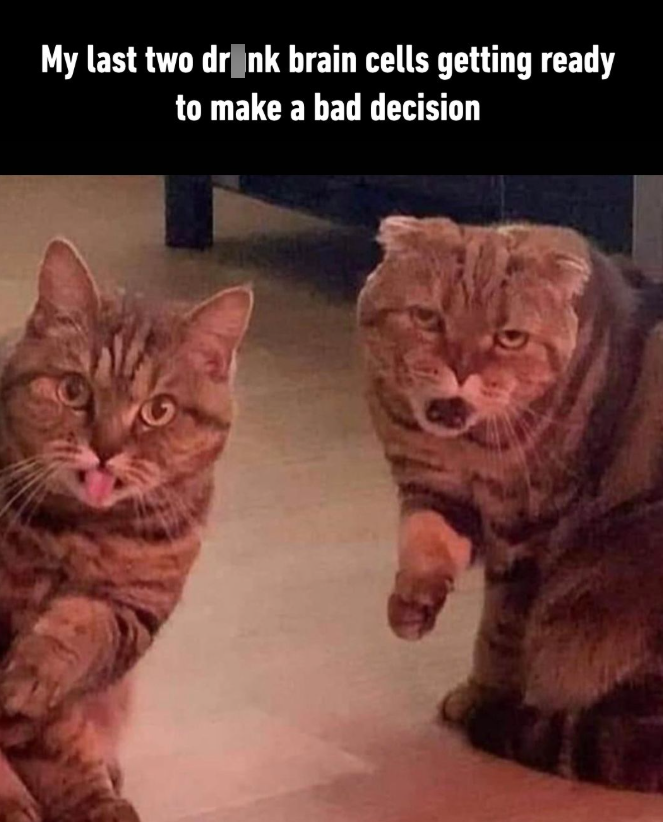 My last two drink brain cells getting ready to make a bad decision