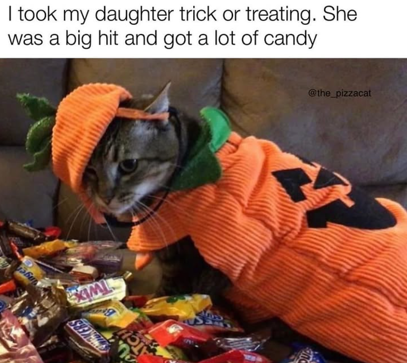 1560 I took my daughter trick or treating. She was a big hit and got a lot of candy EXIMI ATCH @the_pizzacat