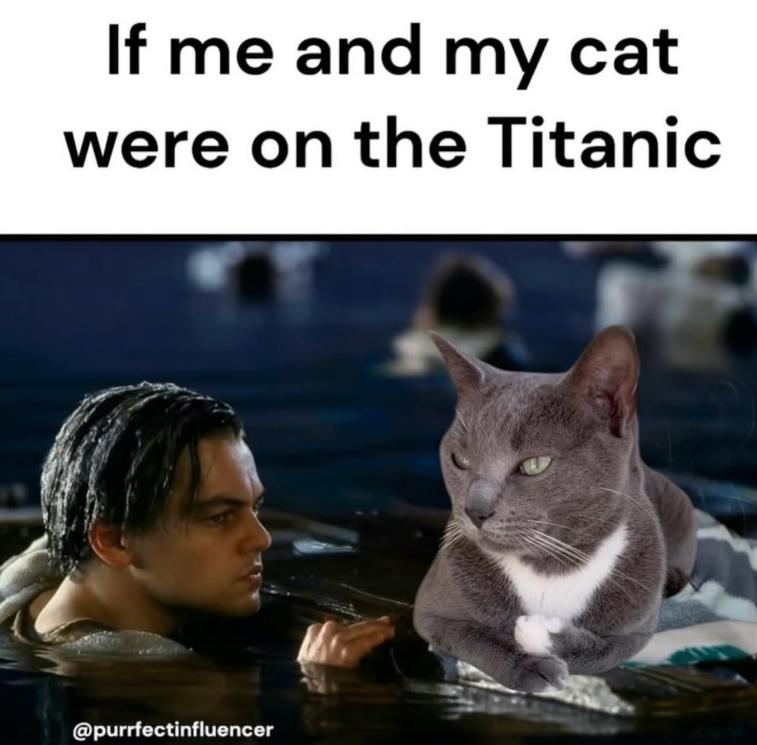 If me and my cat were on the Titanic @purrfectinfluencer