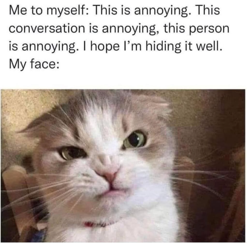 Me to myself: This is annoying. This conversation is annoying, this person is annoying. I hope I'm hiding it well. My face: