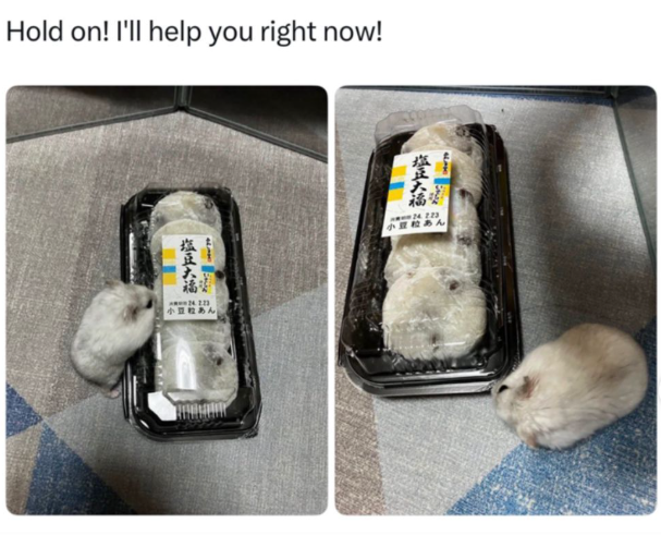 Hold on! I'll help you right now! 塩豆大福 = 小豆粒あん 煤正大福 34 223 小豆あん