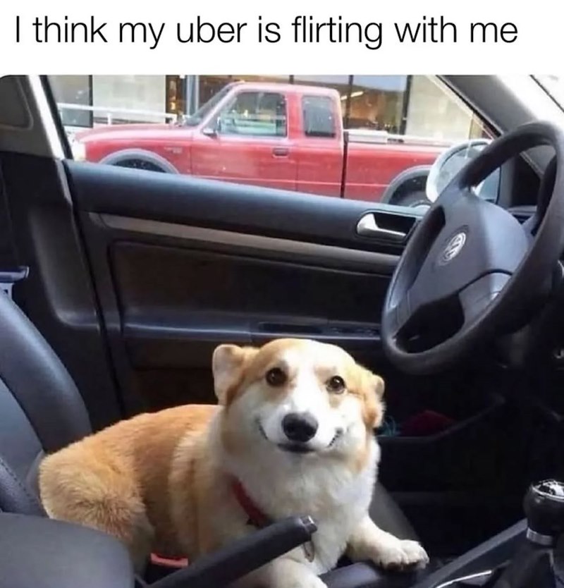 I think my uber is flirting with me