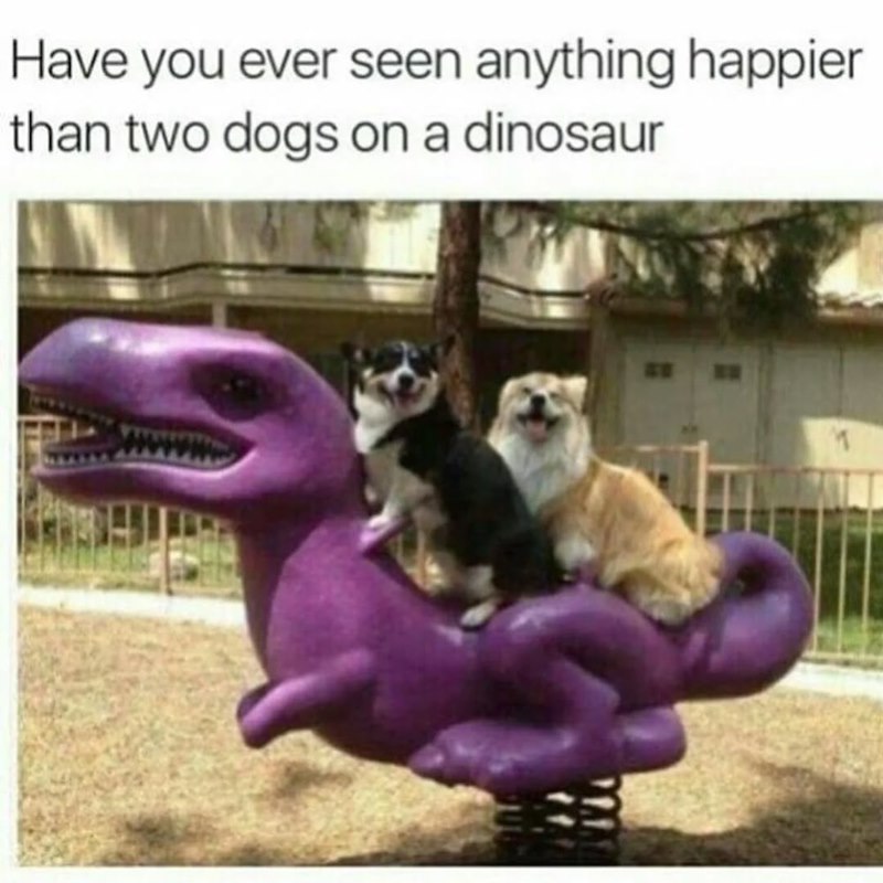 Have you ever seen anything happier than two dogs on a dinosaur